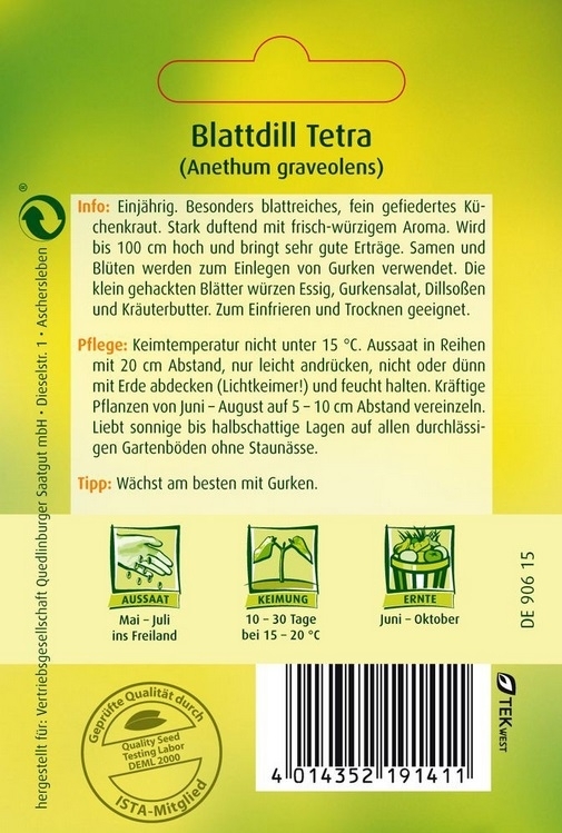 Dill Tetra Blattdill Dill Tetra Blattdill