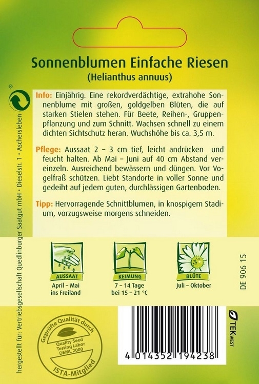 Sonnenblumen Einfache Riesen Sonnenblumen Einfache Riesen