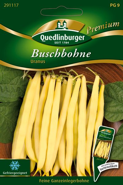 Buschbohne Uranus
