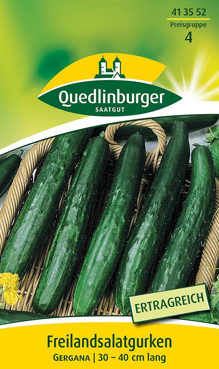 Freilandsalatgurke Gergana