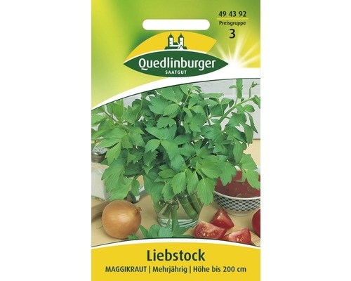 Liebstock Liebstöckel Maggikraut mehrjährig