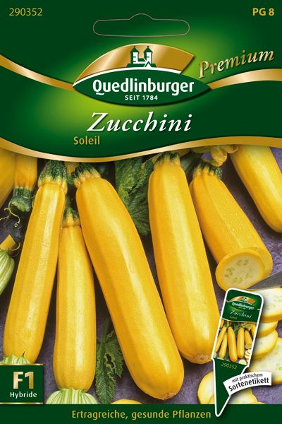 Zucchini Soleil (Cucurbita pepo L. var. giromontina)