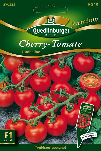 Cherry-Tomate Tombolino (Lycopersicon esculentum)